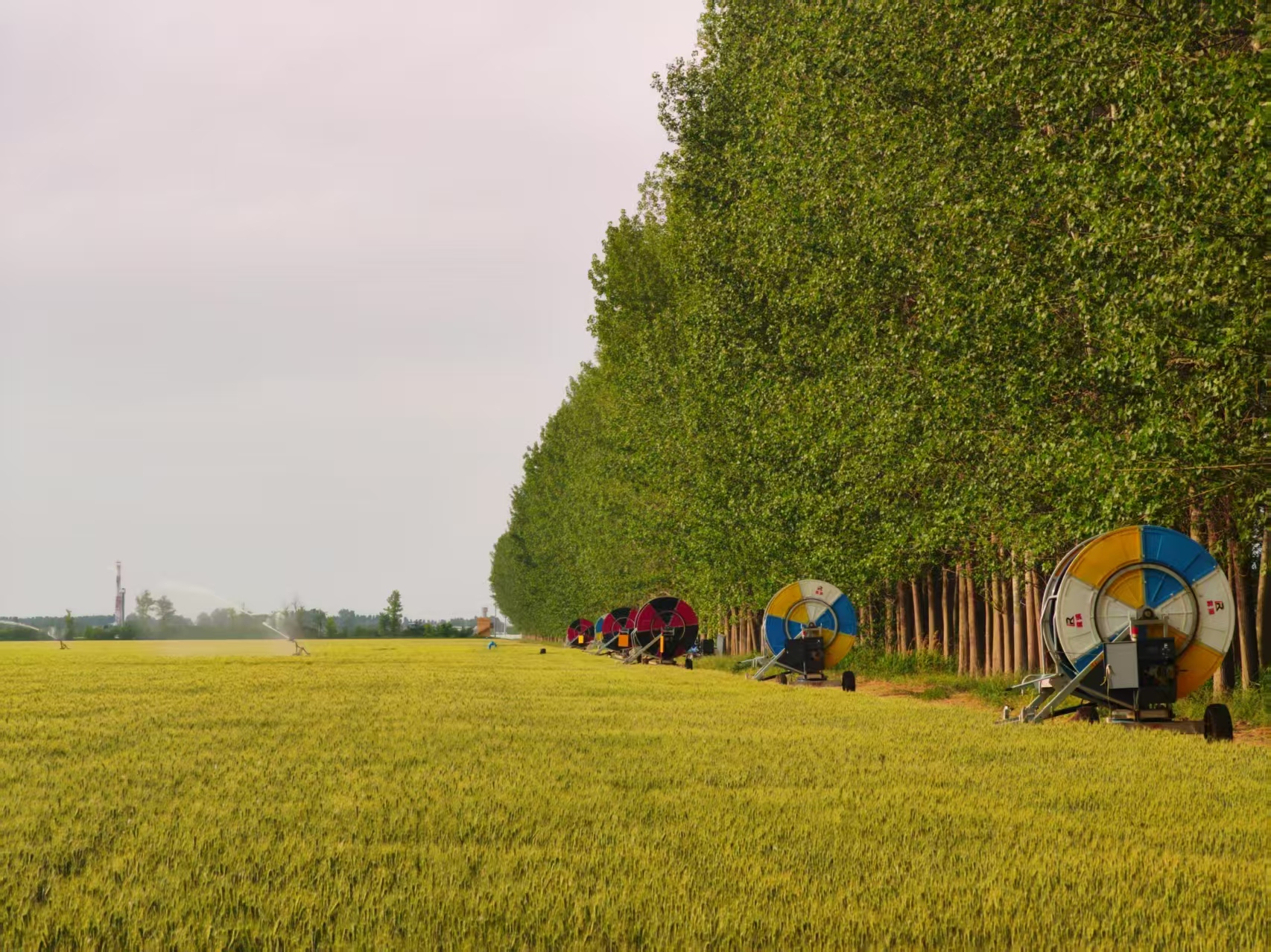 陜西華陰市華西鎮(zhèn)農(nóng)墾農(nóng)場正在作業(yè)的卷盤式噴灌機(jī)。受訪者供圖