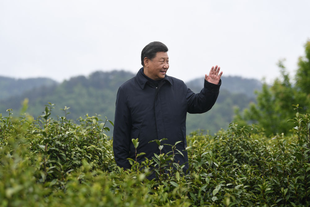 2020年4月21日，習(xí)近平總書記來到陜西安康市平利縣老縣鎮(zhèn)，在茶園考察脫貧攻堅情況。新華社記者 燕雁 攝