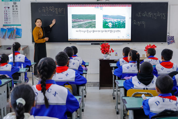 2024年9月27日，在四川省甘孜藏族自治州道孚縣城關第一完全小學，采取“藏加模式”教學的五年級一班的藏語文課上，準木周老師指導藏族學生以家鄉(xiāng)草原風物為主題寫作藏語文作文。新華社記者 沈伯韓 攝